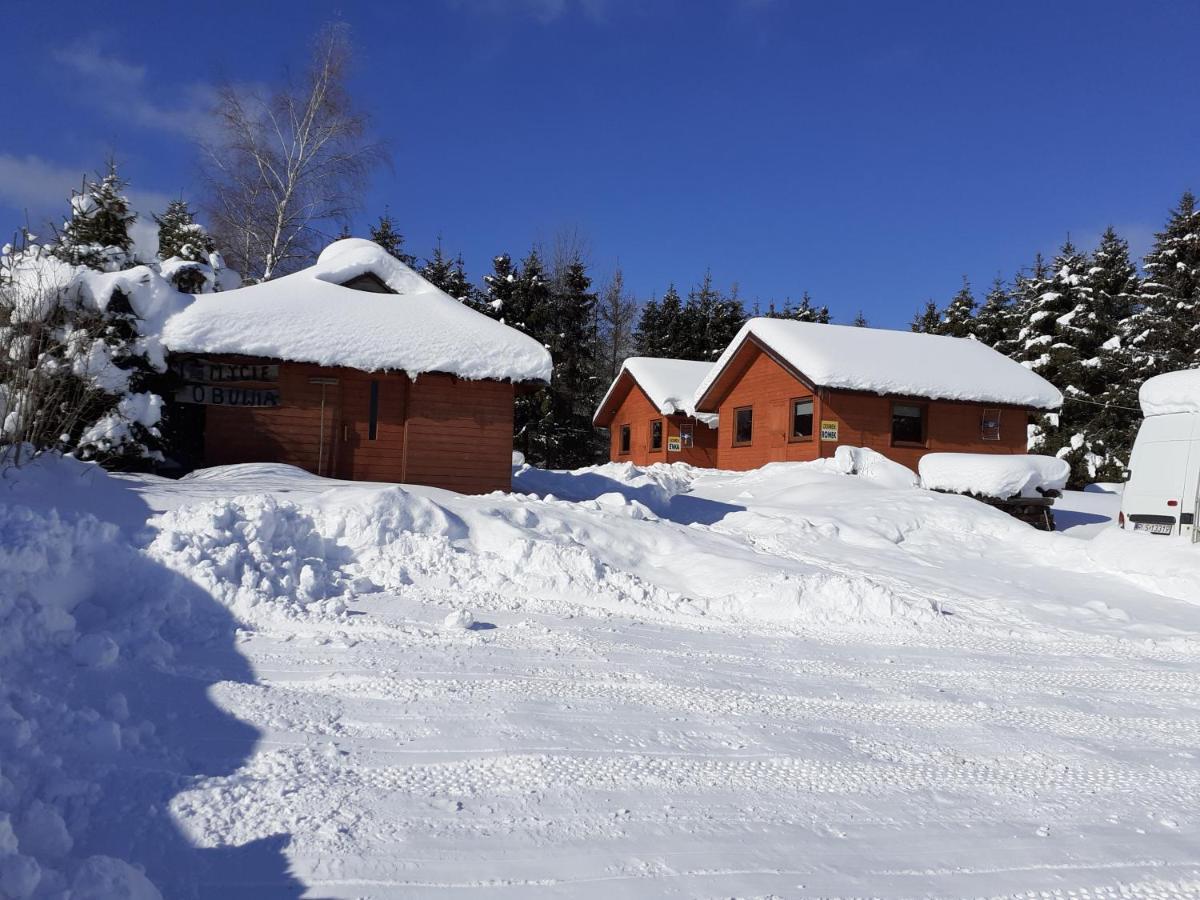 Widok Bed & Breakfast Cisna Exterior photo